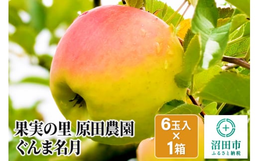 
《2024年11月中旬以降発送》果実の里 原田農園 ぐんま名月 1箱 6玉入り りんご 林檎 リンゴ
