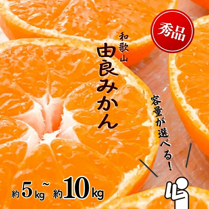 【ふるさと納税】和歌山由良みかん 秀品 サイズおまかせ(L・М・S) 約5kg 約10kg | ※2025年11月下旬～2026年1月中旬頃順次発送予定 | みかん ミカン 和歌山 由良 おまかせ フルーツ 果物 柑橘 和歌山県産 お取り寄せ ふるさと納税 返礼品
