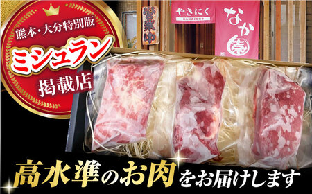 【3回定期便】熊本 馬刺し「なか園」赤身馬刺し 約300ｇ【有限会社スイートサプライなかぞの】[ZBV071]