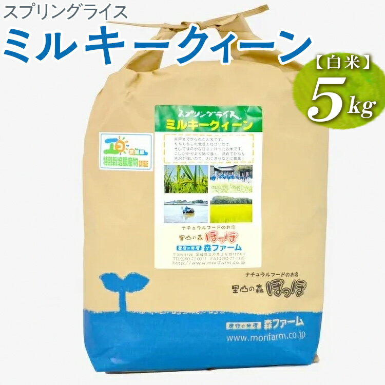 【ふるさと納税】スプリングライス ミルキークィーン (白米) 5kg｜米 コメ こめ ごはん ご飯 ゴハン 白飯 スプリング ライス ミルキー クイーン 水へのこだわり 地下水 5kg 贈答 白米 精米 ギフト 贈答 贈り物 プレゼント お祝 ご褒美 記念日 景品 _BI22