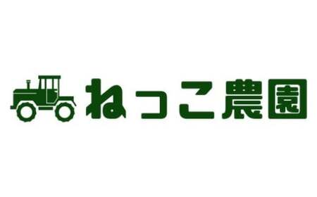 ねぎ 乾燥ねぎ 【ねっこ農園 手間なし パパッと! 乾燥 刻み ねぎ 】 30g 1袋 ねぎ 青ネギ 小分け 個包装 チャック