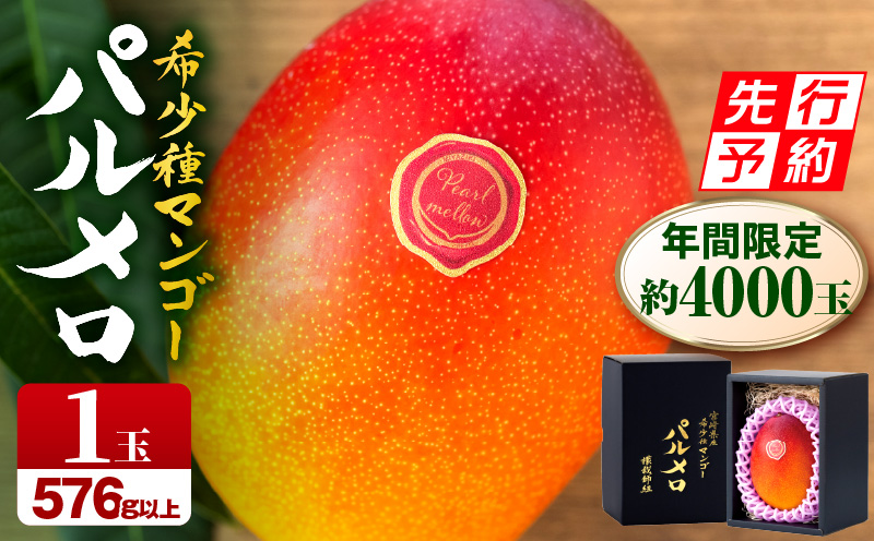 《2026年発送先行予約》【期間・数量限定】宮崎県産希少種マンゴーパルメロ　計576g以上　1玉入り 希少種 マンゴー 完熟マンゴー