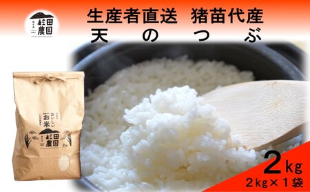 【令和7年度産】 米 天のつぶ 2kg 白米 精米 ※沖縄・離島への配送不可