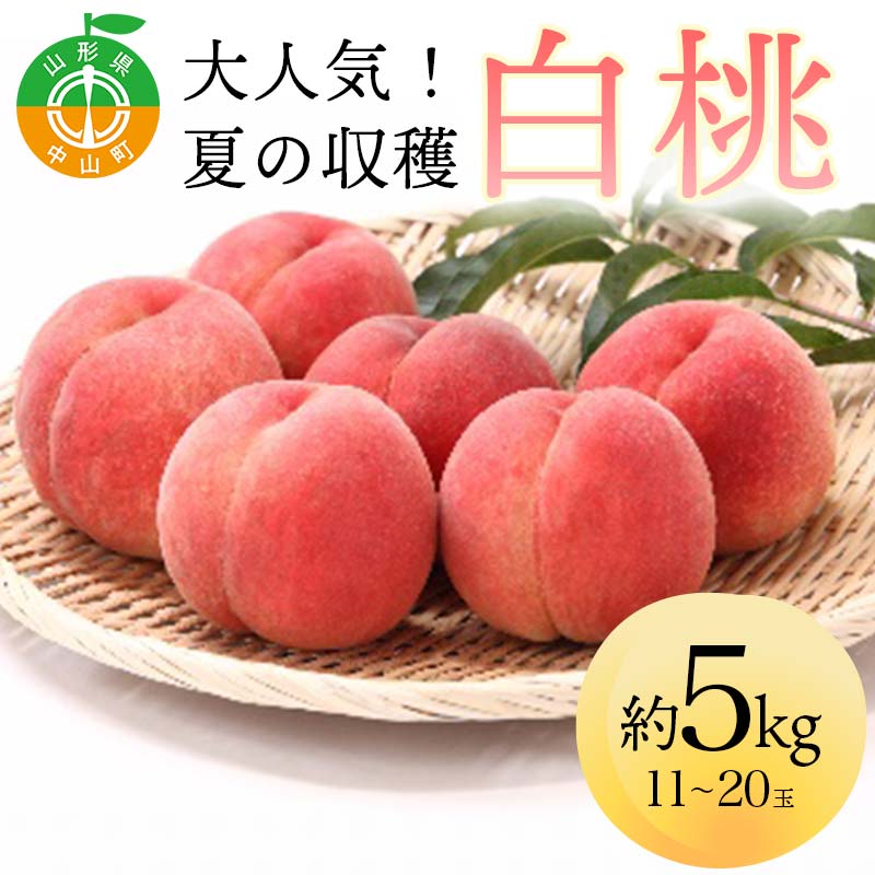 【ふるさと納税】 《2025年先行予約》 山形県産 大人気！ 夏の収穫 白桃 約5kg（11～20玉） 桃 もも フルーツ くだもの 山形県 中山町 F4A-0425