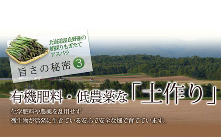 【2026年5月下旬～発送】北海道 富良野産 訳あり グリーンアスパラ 【1kg】Sサイズ・SSサイズ（スイートベジタブルファクトリー）野菜 新鮮 直送 朝採り アスパラガス 道産 北海道 ふらの