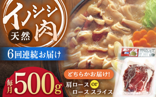 【6回定期便】ジビエ 天然イノシシ肉 肩ロース or ロース スライス500g【照本食肉加工所】[OAJ043] / 猪 猪肉 いのしし肉 イノシシ イノシシ肉 ジビエ いのしし 長崎県猪 川棚町産猪 ぼたん鍋用いのしし 九州産イノシシ じびえ ジビエ ジビエ肉