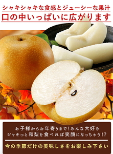 ◆先行予約◆和歌山県産 旬の梨 約4kg ※2025年8月中旬～9月中旬頃に順次発送予定 ※離島への配送不可