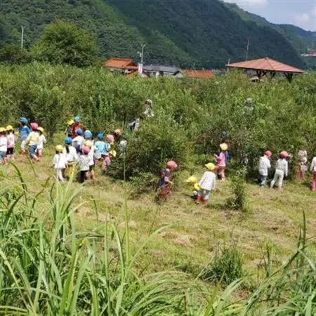 【2026年7～8月】【時間無制限】ブルーベリー食べ放題　2名分【1272521】