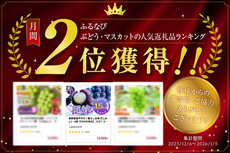 新鮮産直甲州市！種なし巨峰 約1.5kg 2～4房【2026年発送】（KSF）B12-461 巨峰 フルーツ