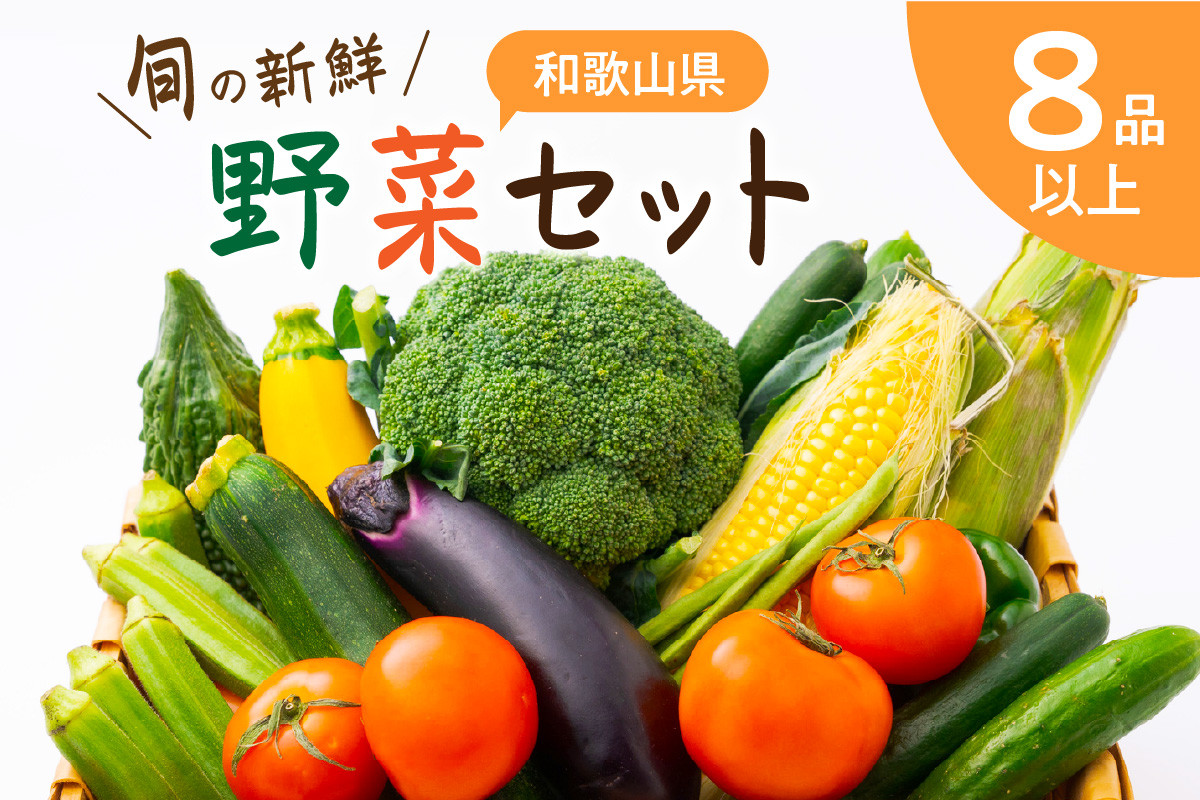 
            旬の新鮮野菜セットたっぷり8種以上
          