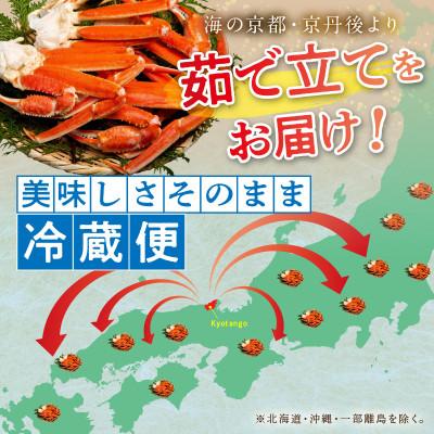 ふるさと納税 京丹後市 大好評!かに酢付き 厳選!!釜茹で 本ズワイガニ 2Lサイズ2肩 冷蔵便 ずわい蟹足 やわらかい蟹肉 |  | 03