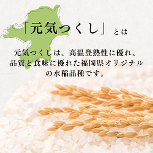 定期便 6回 特別栽培米 R7年度産 福岡県 小郡産 元気つくし 5kg 米 お米 6ヶ月