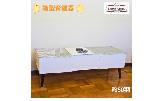 箱型育雛器(50羽)  ヒヨコ 保育器 ひよこ 育雛器 育すう器 育雛ボックス 育雛箱  国産 日本製