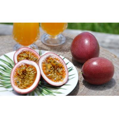 ふるさと納税 瀬戸内町 【先行受付】【2026年5月下旬以降順次発送】パッションフルーツ　化粧箱M玉15個入り×2箱