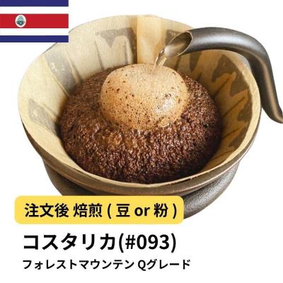 ふるさと納税 堺市 【豆】コーヒー #093 コスタリカ フォレストマウンテン Qグレード 310g