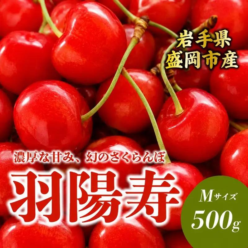 【6月発送】 さくらんぼ  羽陽寿  M 500g 田屋果樹園 taya005