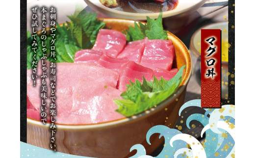 本マグロ（養殖）トロ＆赤身セット 3kg 【通常発送】高級 クロマグロ  中トロ 中とろ まぐろ マグロ 鮪 刺身 赤身 柵 じゃばらまぐろ 本マグロ 本鮪【nks112B】