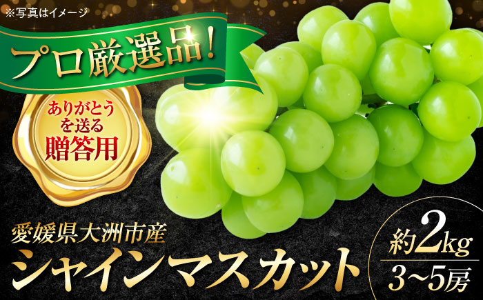 【先行予約】【9月上旬より順次発送】【贈答用】贈答用シャインマスカット約2kg（3〜5房）愛媛県大洲市/沢井青果有限会社［AGBN044］シャインマスカット ぶどう ブドウ 葡萄 果物 フルーツ　