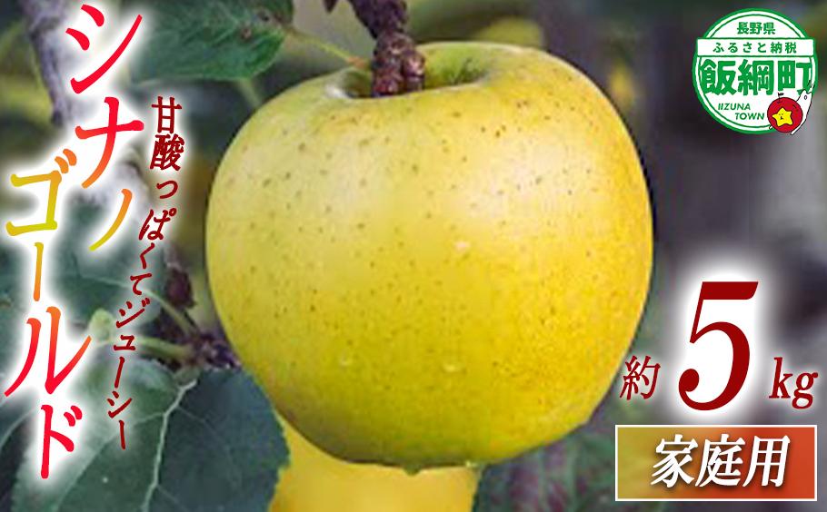 
りんご シナノゴールド 家庭用 5kg 相澤農園 2024年11月上旬頃から2024年11月中旬頃まで順次発送予定 沖縄県への配送不可 令和6年度収穫分 長野県 飯綱町 [1853]
