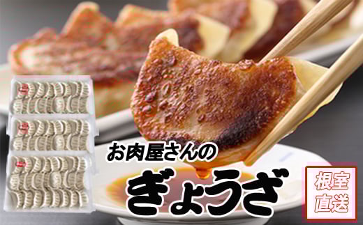 B-70041 餃子25個×3P