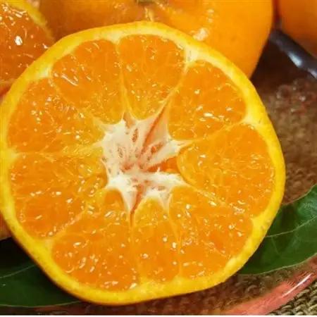 はるみ 秀品 [約4kg]和歌山県有田産春みかん(果実サイズおまかせ)【1223479】