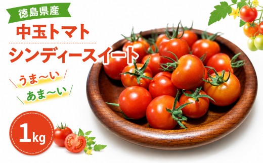 トマト 1kg 高地栽培 徳島県産 中玉トマト シンディスイート 高糖度 新鮮 旬 季節 贈り物 ギフト 贈答 プレゼント 野菜 おかず サラダ ジュース 徳島県 三好市 みよし miyoshi 三好野呂内野菜生産加工組合