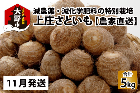 【先行予約】【11月発送分】上庄さといも 5kg 減農薬・減化学肥料の特別栽培里芋 農家直送