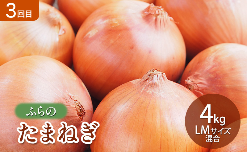 【2026年夏～秋発送】 定期便 3ヵ月 旬を味わう 基本野菜セ