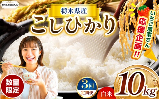 【栃木県共通返礼品】【先行予約】【定期3回】数量 限定 訳あり 定期便 令和8年度 栃木県産 コシヒカリ 約 10kg | 数量限定 こしひかり 精米 白米 米 ごはん おいしい okome kome お米 コシヒカリ ふるさと納税 那珂川町 栃木県