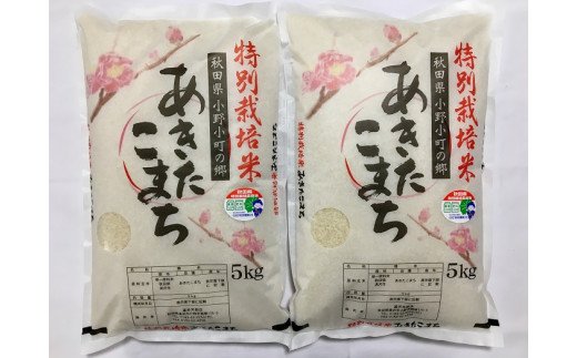 【令和6年産米】小野小町の郷特別栽培米あきたこまち　5kg×2袋[H64-2201]