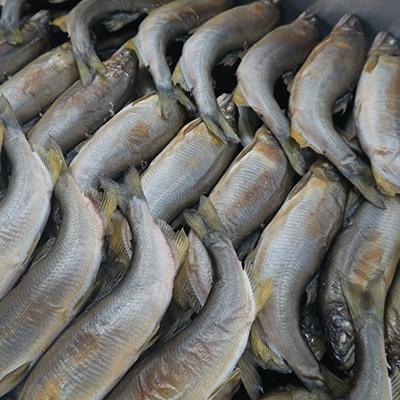 ふるさと納税 多気町 多気ざんまいセットB(鮎甘露煮 計12尾・多気あわせ煮 4種各1袋・伊勢うどん4袋) |  | 02