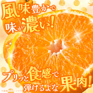 光センサー 選果！ 熊本県産 デコポン 約 5kg | 果物 くだもの フルーツ 柑橘 柑橘類 でこぽん 旬 味覚 熊本県 玉名市