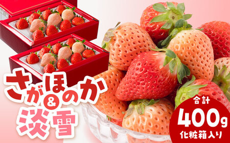 【先行予約】淡雪＆さがほのか 赤白 いちごセット200g × 2パック 合計400g（化粧箱入り） /赤いちご 白いちご 紅白いちご 赤白いちご 甘〜いいちご 化粧箱入りいちご 食べ比べいちごパック 