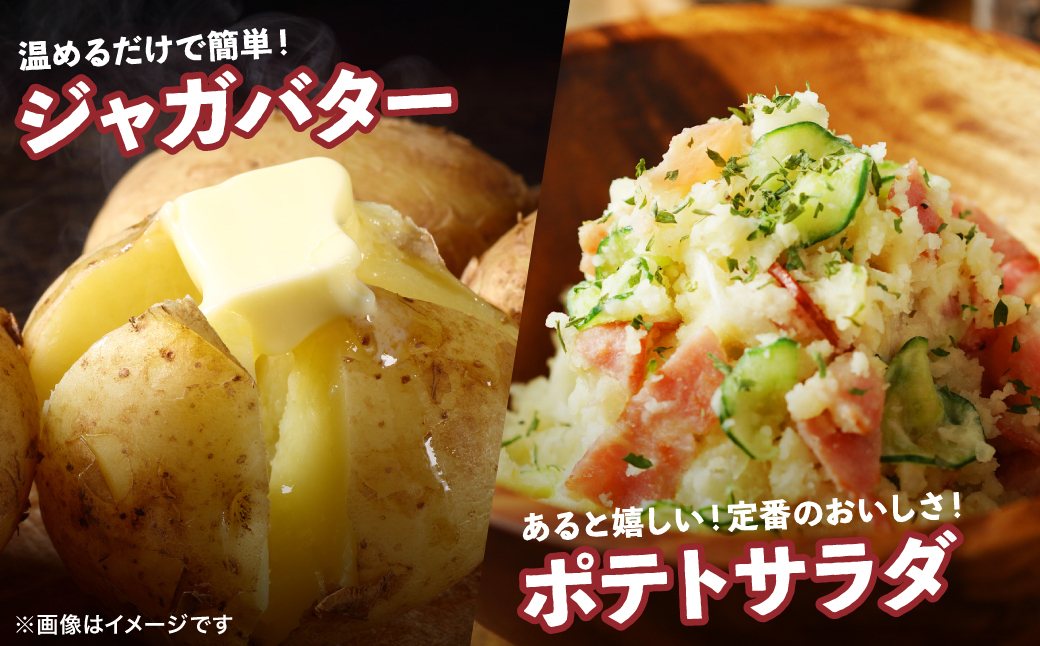 【先行予約】 熊本県八代市産 潮風薫る新じゃがいも (メークイン) 10kg 野菜 芋 いも 国産 熊本県 八代市 九州 農作物 【2025年6月上旬より順次発送】