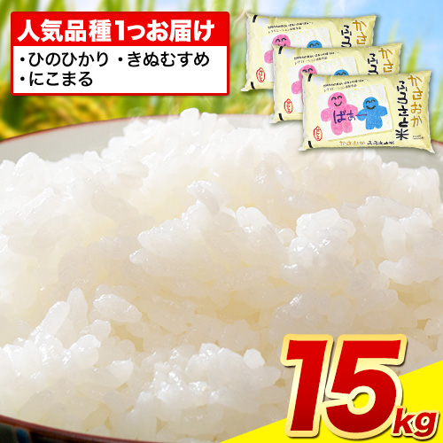 【発送時期が選べる】【先行予約】米 令和7年産 15kg ふるさと米 備中笠岡 人気品種をお届け！ 国産 ヒノヒカリ にこまる きぬむすめ お米 ブランド米 ふっくら ハリ おにぎり 弁当 発送時期が選べる 単一原料米 検査済み お取り寄せ 送料無料 岡山県産