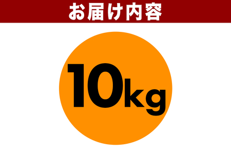 米 令和7年産 新米 無洗米 10kg かいつか農園のお米 にじのきらめき 虹の煌めき お米 白米 国産 おにぎり 弁当 R7年産 ごはん おいしい 旨い ふっくら お米 茨城県 笠間市 いばらき