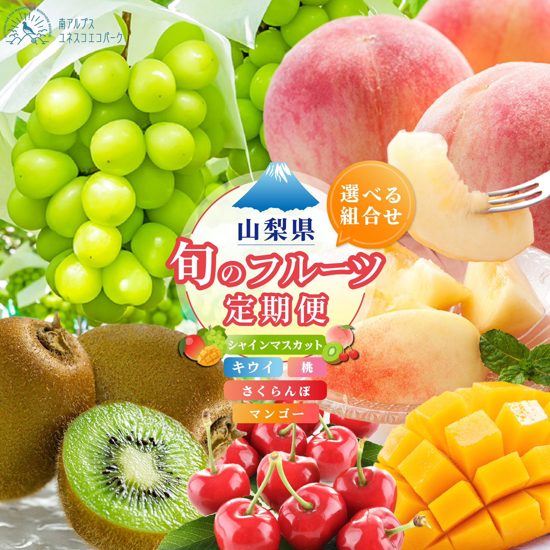 【ふるさと納税】【2027年発送分 定期便2～4回】 南アルプスの果物セット2～4種＜出荷時期：キウイ1月、さくらんぼ5月下～6月下旬、桃：6月中～8月下旬、マンゴー7月中～8月下旬、シャインマスカット：8月中～10月中旬＞【先行予約 フルーツ】