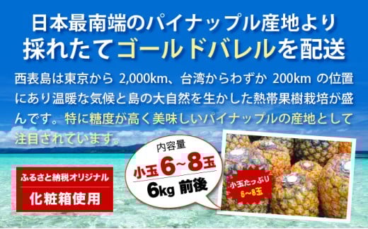 【2026年発送】ゴールドバレルたっぷり小玉セット