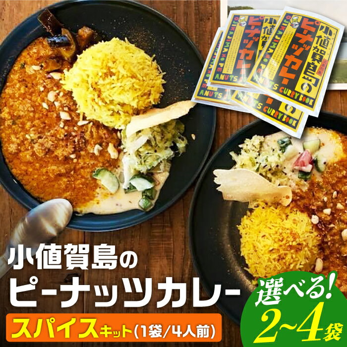 【ふるさと納税】【選べる個数】スパイスカレー 小値賀島のピーナッツカレー スパイスキット [DAA021] スパイス カレー 本格 簡単 ミールキット 落花生 常温 高評価 人気 カレー かれー 手作り ピーナッツ ピーナツ ぴーなっつ 人気 高評価
