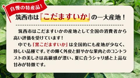 【 JA北つくば 】 黒こだますいか 「 誘惑のひとみ 」 2玉 先行予約 小玉すいか 小玉 すいか スイカ 果物 フルーツ [AE018ci]