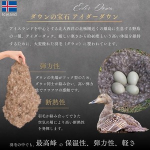 羽毛布団 アイダーダウン95% 合掛け布団 ダブル モナク