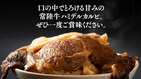 【 常陸牛 】A5 等級 ハミデルカルビ 1kg (6～10枚) ひたちぎゅう ブランド牛 カルビ 国産牛 黒毛和牛 和牛 国産黒毛和牛 お肉 A5ランク 高級 BBQ パーティ