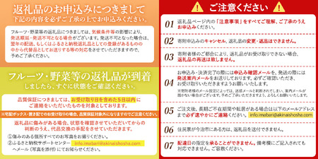 【先行予約】温州みかん4kg [KB00900] 2026年10月下旬～11月下旬に順次発送予定 期間限定 ふるさと納税ミカン 温州ミカン 甘いみかん 愛媛みかん 果物 フルーツ ふるさと納税フルーツ