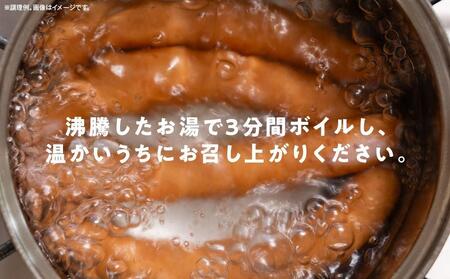 定期便【3ケ月連続お届け】シャウエッセン　スペシャルロングセット