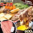 【ふるさと納税】熊野牛 紀の川天空和牛 ロース すき焼き しゃぶしゃぶ 用 約600g 有限会社松牛 《30日以内に発送予定(土日祝除く)》 和歌山県 紀の川市 黒毛和牛 牛 牛肉