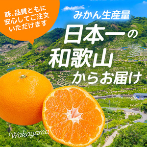 【ふるなびWEEK対象】家庭用 有田 みかん サイズ混合(2S～2L) 5kg+250g ※11月発送(完熟) / 温州みかん 有田みかん 訳あり 甘い 光センサー選果 果物 柑橘 和歌山 ※北海道・