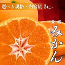 【ふるさと納税】 先行受付 愛媛みかん 3kg・5kg【発送期間：2024年10月20日～なくなり次第終了】 訳あり 贈答 果物 柑橘 みかん 蜜柑 フルーツ ゼリー ジュース オレンジ 甘い 糖度 不揃い 傷 愛媛 愛南町 吉本農園