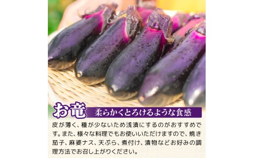【先行受付】 6回定期便 「優秀賞受賞なす」 計9kg 約1.5kg×6回 採れたて 新鮮 旬 野菜 やさい 茄子 先行予約 期間限定 季節 料理 ご飯 ごはん 朝採れ 極上 フレッシュ 農産物 優秀