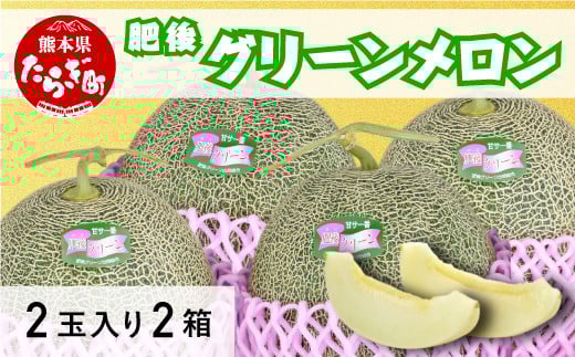 熊本県産 肥後 グリーンメロン【2玉入×2箱】多良木町【 メロン 果物 フルーツ 旬 甘い 大玉 4kg 熊本 多良木 産地直送 】 008-0664-2025