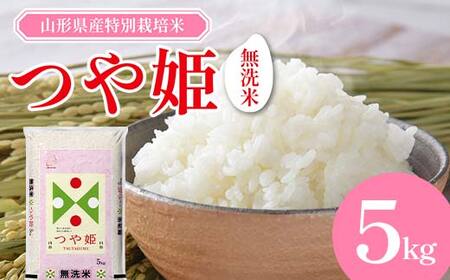 山形県産 特別栽培米 無洗米 つや姫 5kg（BG無洗米） F2Y-3916